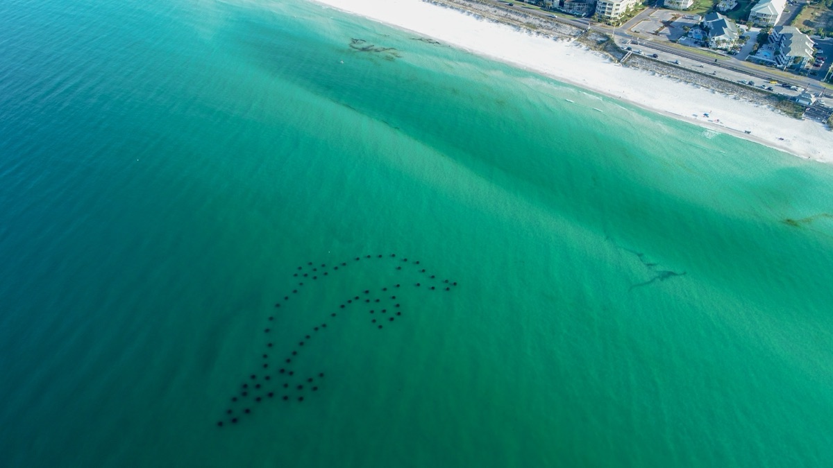 Best Time To Visit 30A: Your Complete Seasonal Planning Guide - It's Lit PCB
