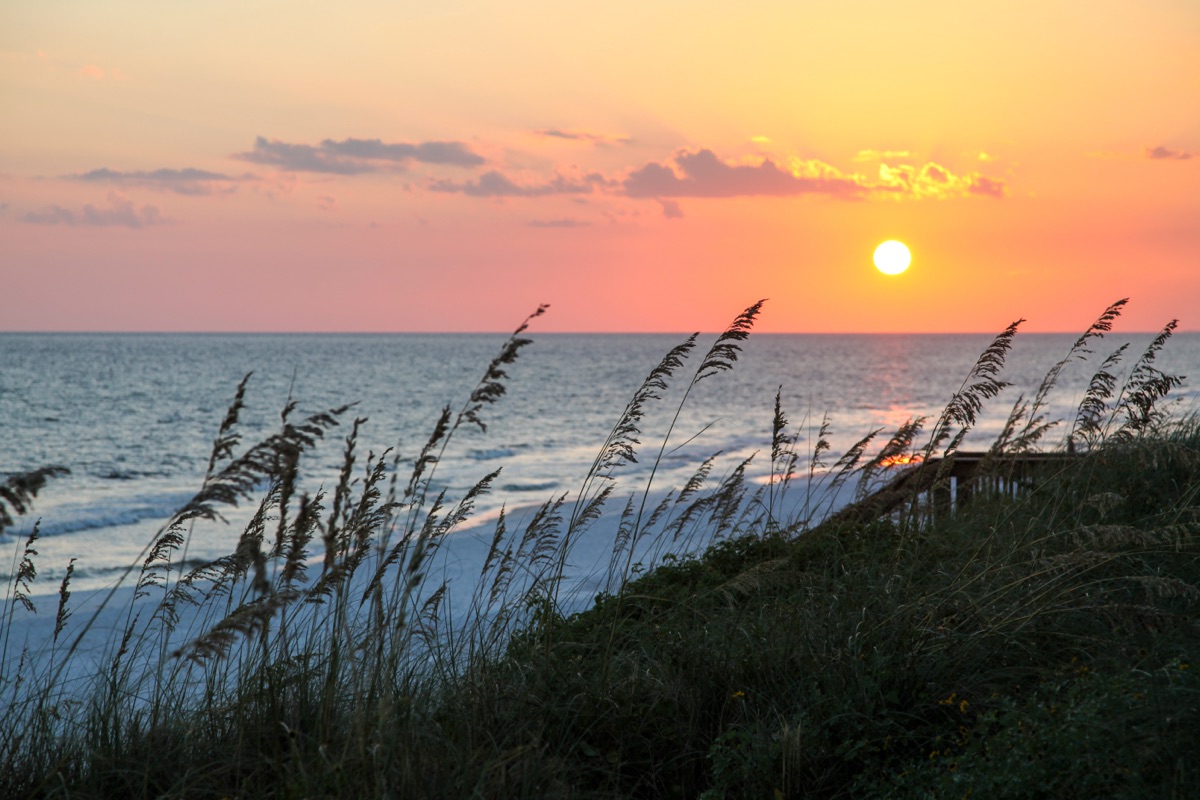 All About Santa Rosa Beach: What You Should Know - It's Lit PCB